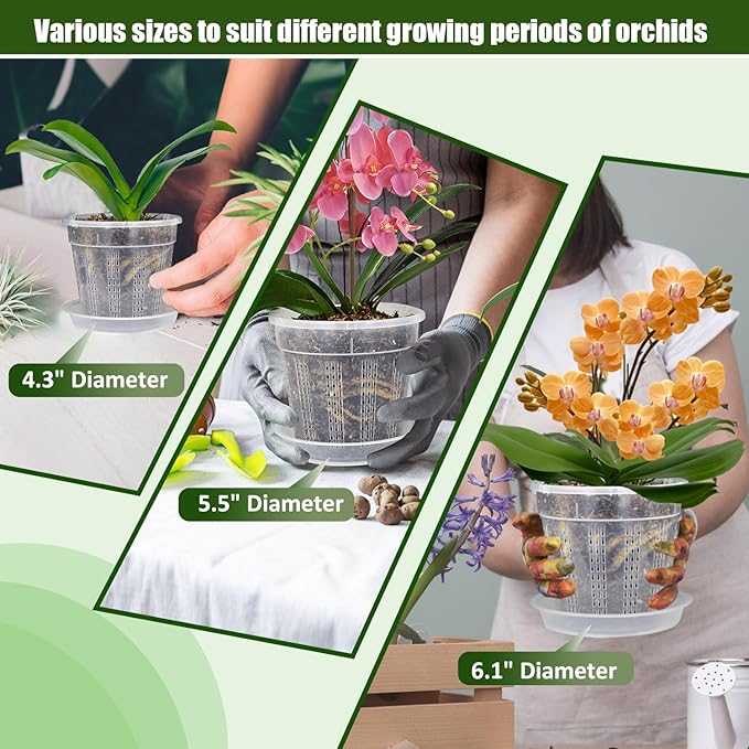 Orchid Pot with Saucers, 2 Each of 4.3", 6.1" Orchid Pots with Holes - Image 8