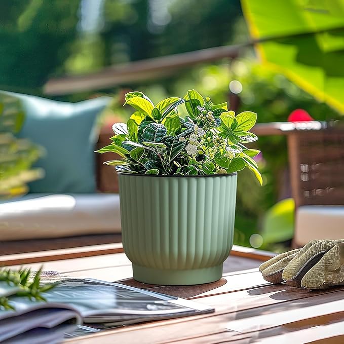 T4U 6 Inch Self Watering Pots for Indoor Plants, 6 Pack Plant Pots, Self - Image 6
