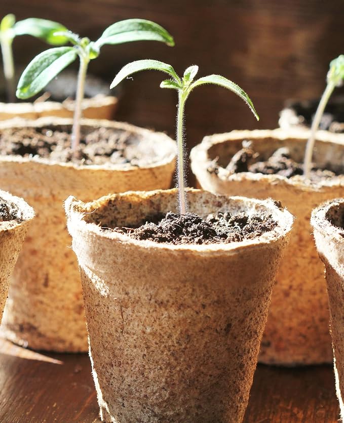 homenote Peat Pots, Round Nursery Plant Pots - Image 6