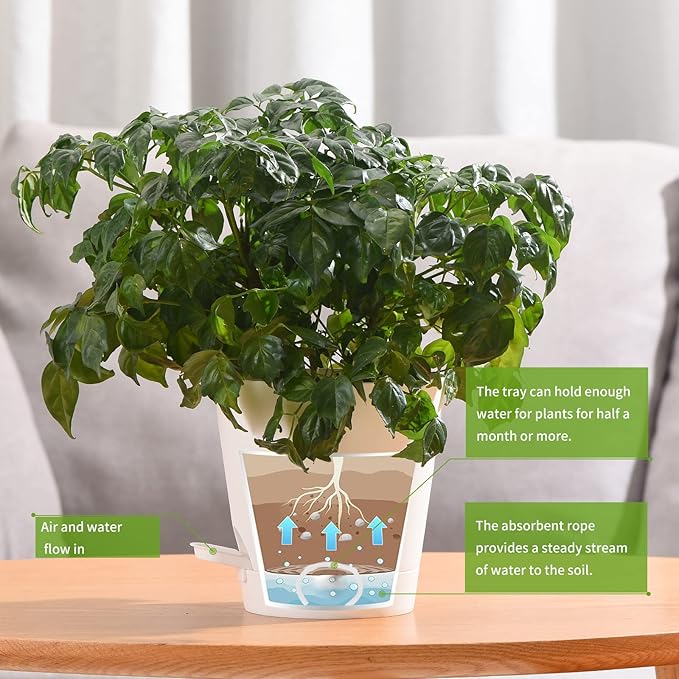 Plant Pots 6 PCS 5 inch Self Watering Planters High Drainage Flowers Pot - Image 6