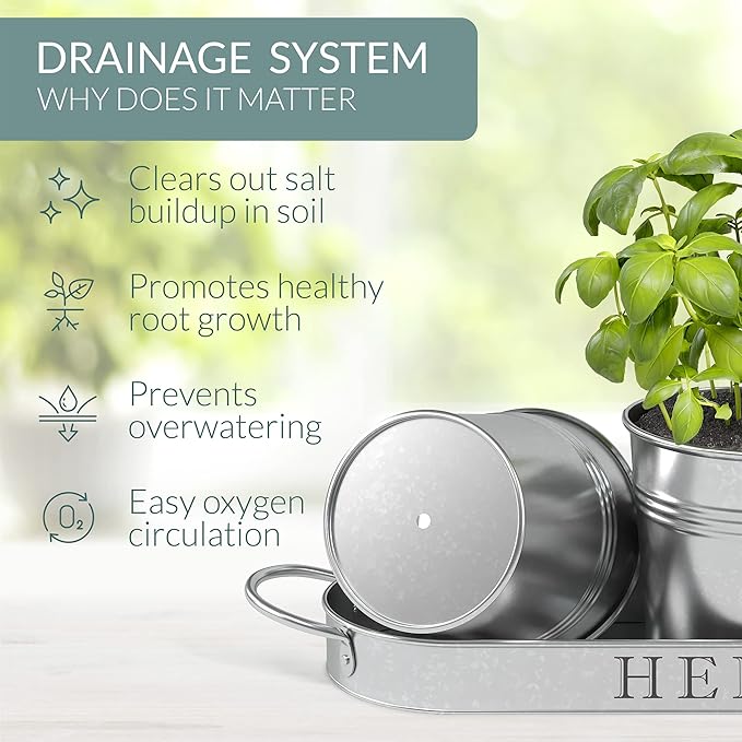 Barnyard Designs Indoor Herb Garden Planter Set - Image 5
