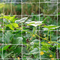 Tcamp Heavy-Duty Polyester Garden Trellis Netting Plant Climbing Net by Tcamp