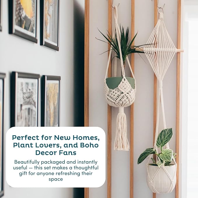 Nook Theory 4-Pack Macrame Plant Hangers - Image 8