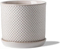 5.8 Inch Plant Pot: Ceramic Planter by Chubacoo