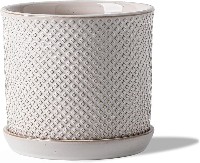 5.8 Inch Plant Pot: Ceramic Planter by Chubacoo