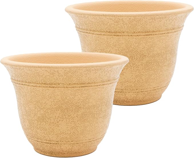 The HC Companies Sierra Round Self-Watering Pot by TheHCCompanies