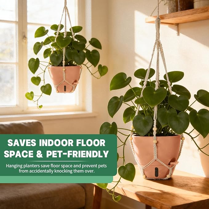 Self-Watering Hanging Planters for Indoor Plants Set 2-Piece Includes Plant - Image 5