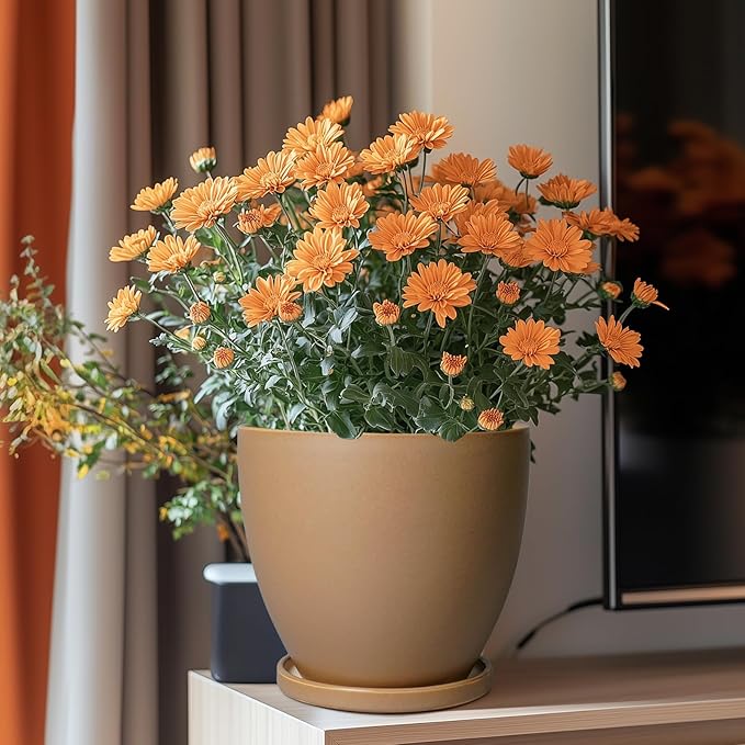 Ceramic Pots for Plants - Image 2