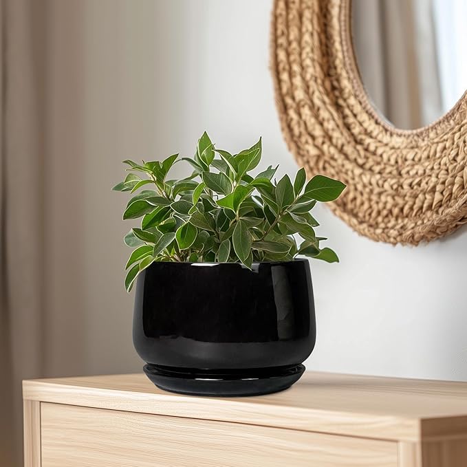 G EPGardening Ceramic Plant Pots - Image 5
