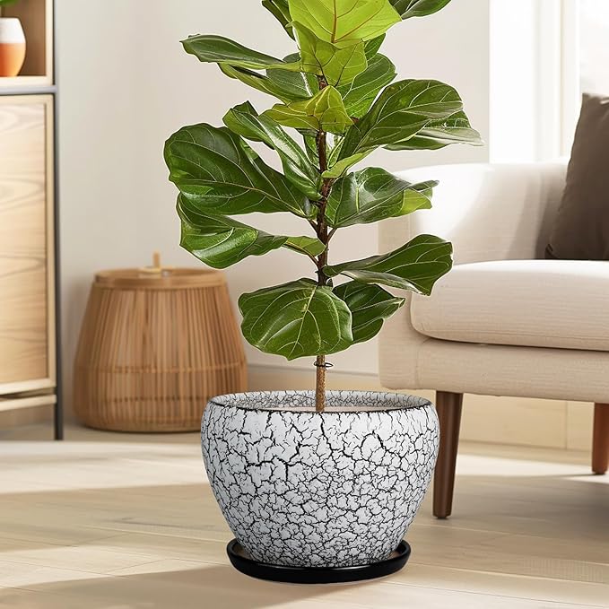 Ceramic Planters for Indoor Plants - Image 2