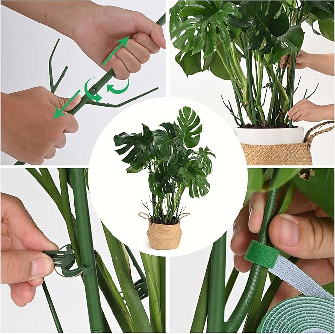 12 Pack Plant Support Stakes, Plant Stakes - Image 3
