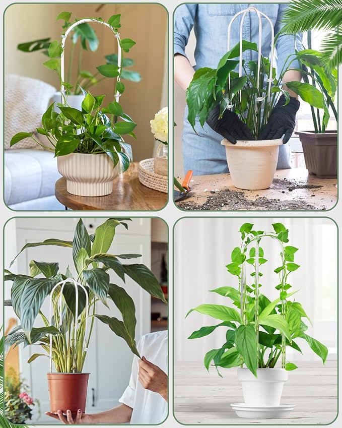 16 Inch U-Shaped Acrylic Plant Trellis, Small Houseplant Trellis Garden - Image 7