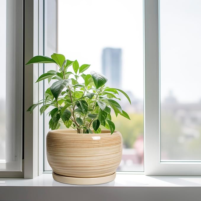 SQOWL Ceramic Plant Pot - Image 4
