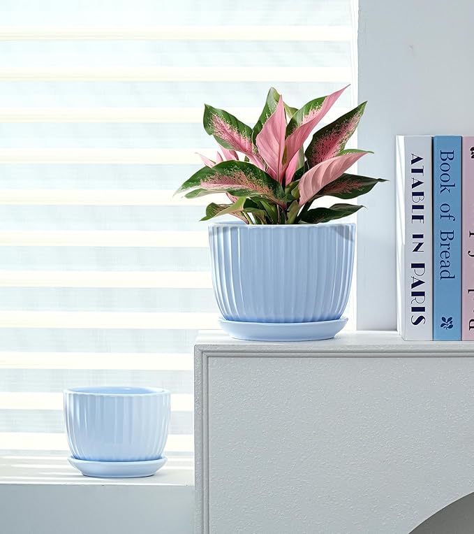 Ton Sin Sky Blue Ceramic Flower Pots, Modern Indoor Decorative Plant Pots Set - Image 6