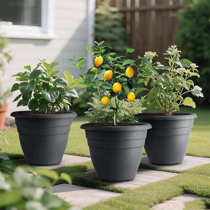 12 Inch Plant Pots, Large Planters - Image 2