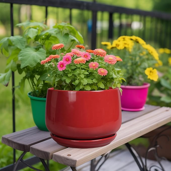G EPGardening Ceramic Plant Pots - Image 2