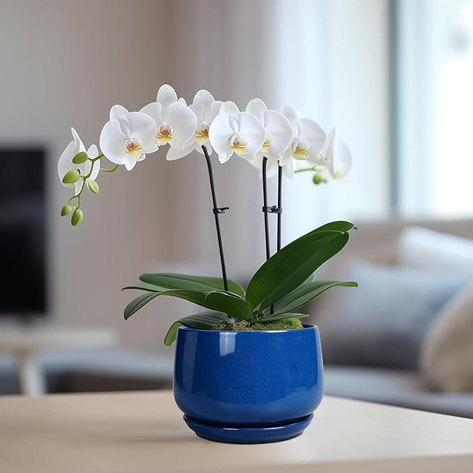 G EPGardening 6 Inch Plant Pot - Image 5