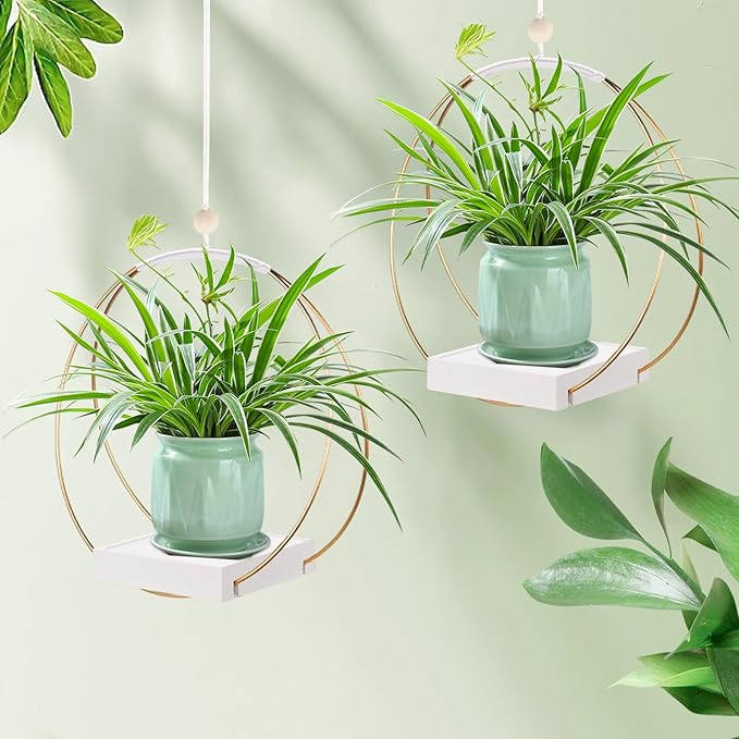 2 Pack Hanging Planter Holder for Indoor Plants, Plant Hanger - Image 6