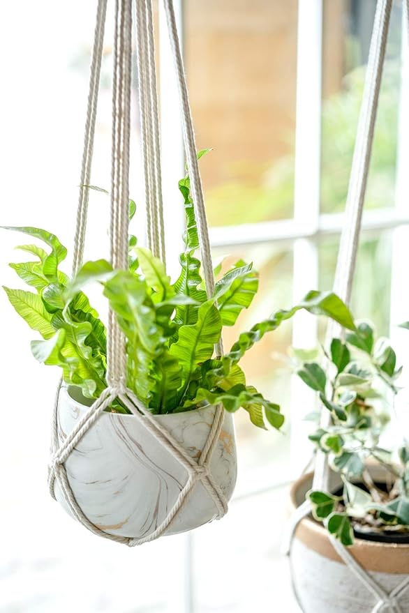Dahey Macrame Plant Hanger Indoor Hanging Planter Basket Handmade Woven Cotton - Image 4