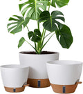 montresor 12/10/8 Inch Self Watering Pots by Montresor