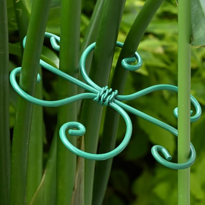 5PCS Monstera Plant Support Hook - Image 6