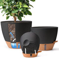 T4U 3 Pack Self Watering Pots by T4U