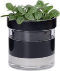 Phoenix Vine 4 Inch Self Watering Terracotta Planter by Phoenix+Vine