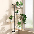 DELLAN 4-Tier Rotating Window Plant Shelf, Wall Mounted Indoor Hanging Plants by DELLAN