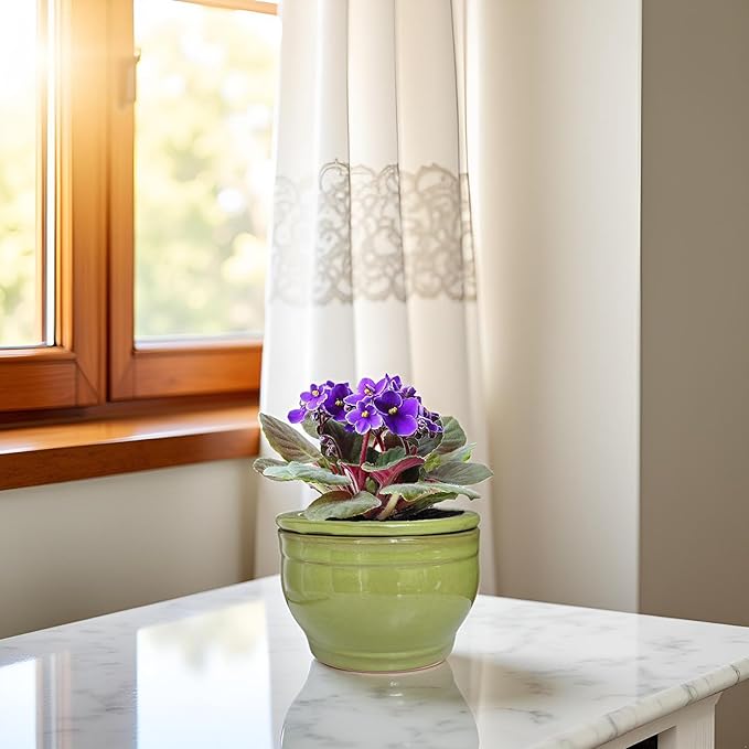 African Violet Pots Self Watering Round Ceramic Violet Pot - Image 8