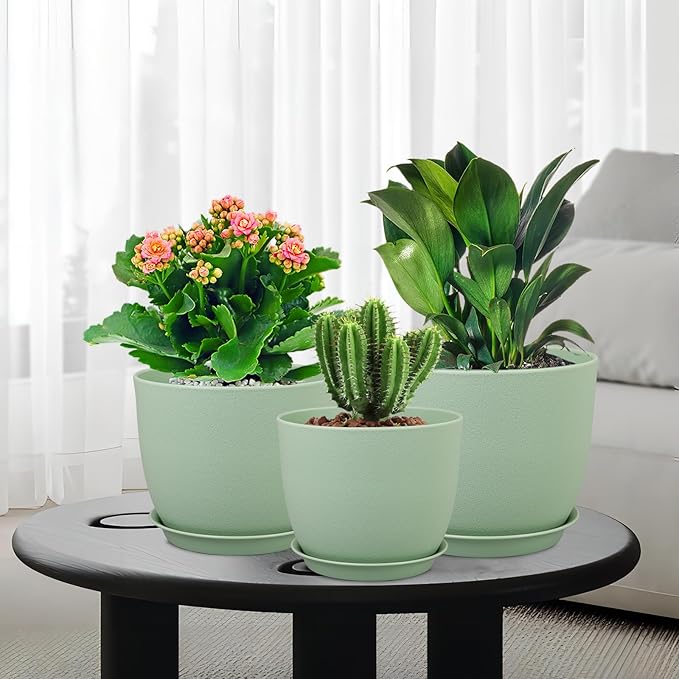 Large Plant Pots 12/10/9 inch, Flower Pots - Image 7