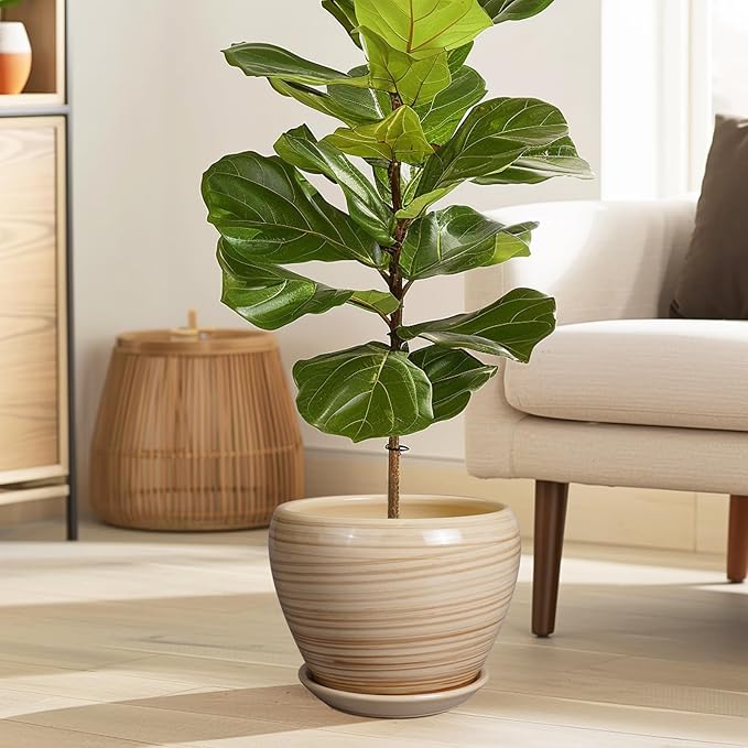 Planter 8 Inch - Indoor/Outdoor Ceramic Plant Pot - Image 2