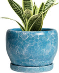 SQOWL 6 Inch Plant Pot by SQOWL