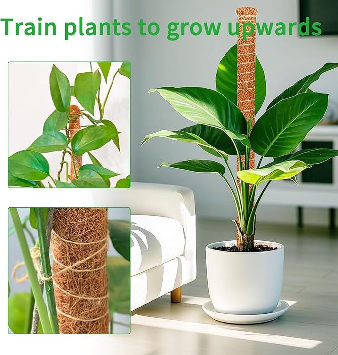 4 Pack 39 Inch Moss Pole Monstera Plant Support, Coir Moss Poles - Image 3