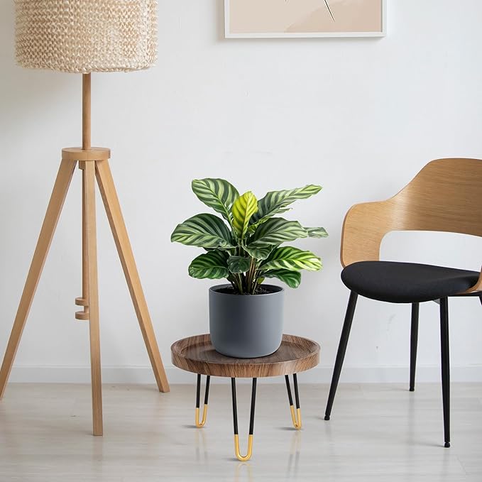 Plant Stand Indoor Outdoor, Mid Century Style Walnut Wood Color Plant Stand - Image 2