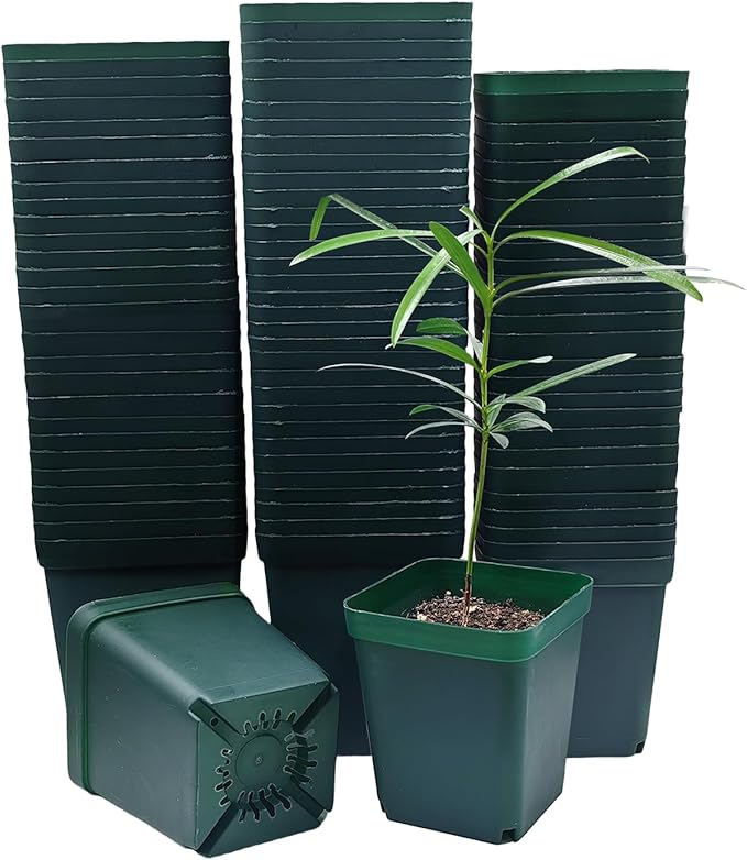 Square Seedling Nursery Pots 3.15 Inches 100 Pcs by RooTrimmer