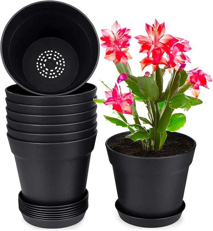 homenote Pots for Plants, Matte Black by HOMENOTE