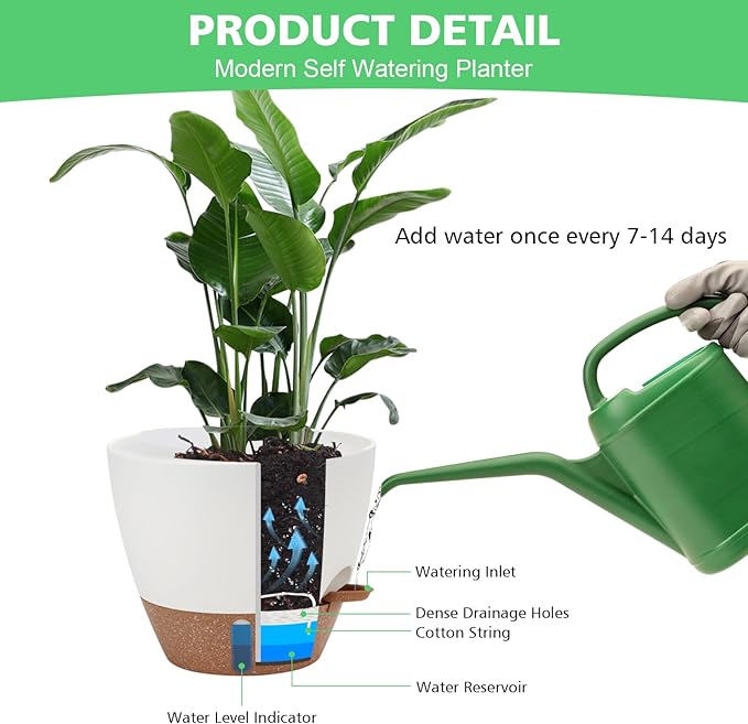 12" 10" 9" 8" Self Watering Pots - Image 6