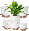 Self Watering Planter with Visual Water Level, Modern 8+7+6.5+6+5.5+5 Inch by Ezmixcoop