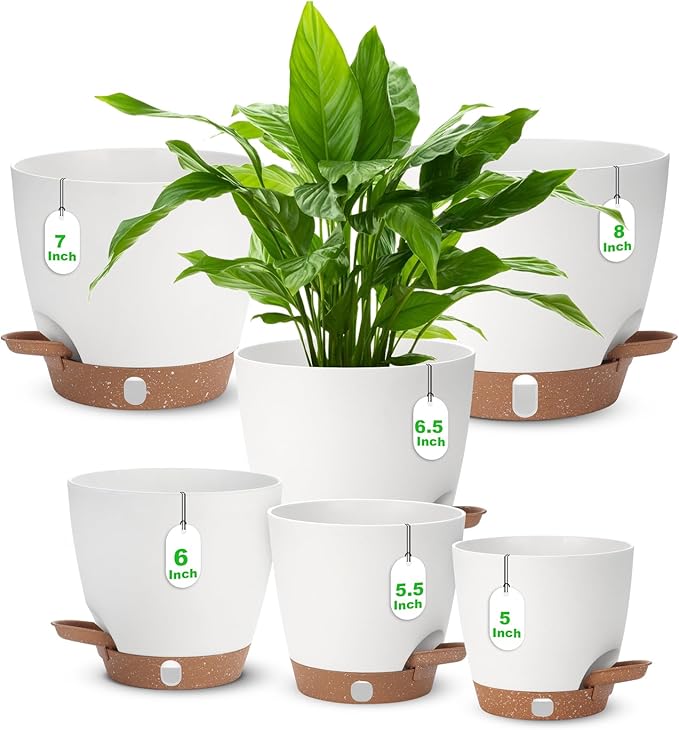 Self Watering Planter with Visual Water Level, Modern 8+7+6.5+6+5.5+5 Inch by Ezmixcoop