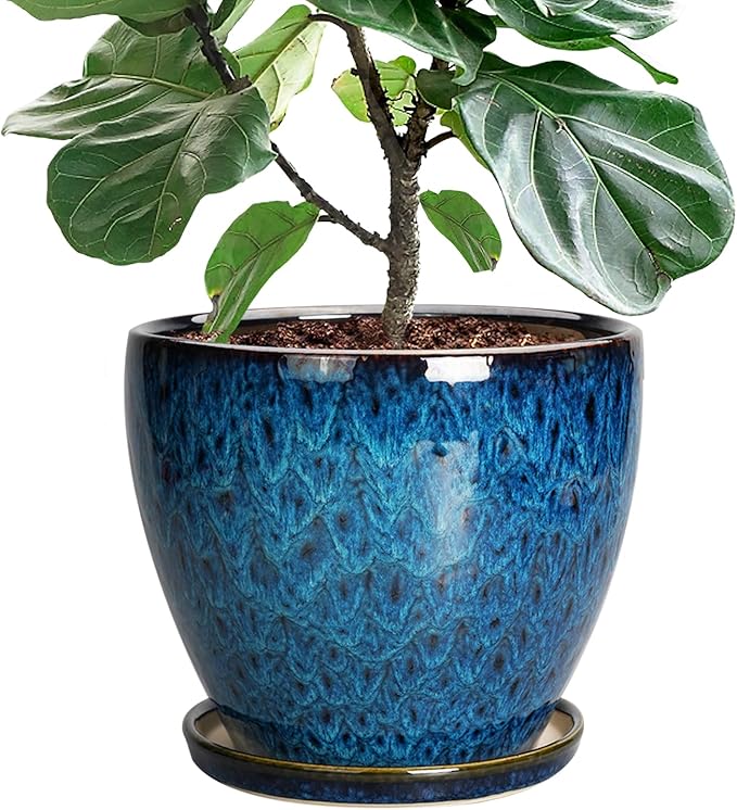 10 Inch Ceramic Planter Pot Round Plant Pot by EPFamily