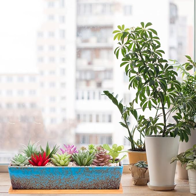 ARTKETTY Succulent Pots - Image 6