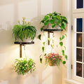 iDavosic.ly Wall Plant Holder by iDavosicly
