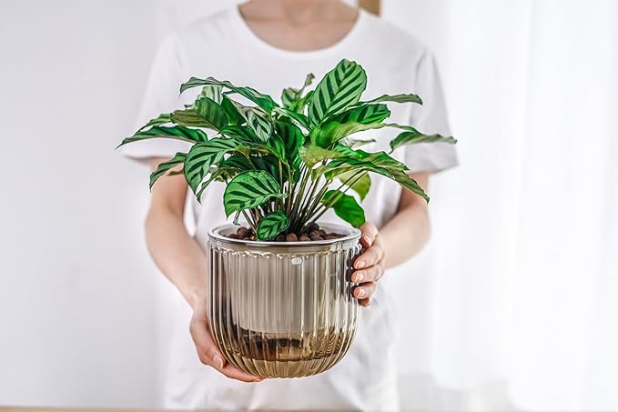 Melphoe 2 Pack Self Watering Hanging Planters Indoor Flower Pots, 6.5 Inch - Image 9