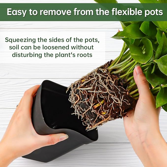 80 Pcs Nursery Pots 4 Inch, Plastic Seed Starting Pot - Image 3