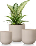 vancasso Ceramic Plant Pots, 4+5+6 inches, Planters by vancasso