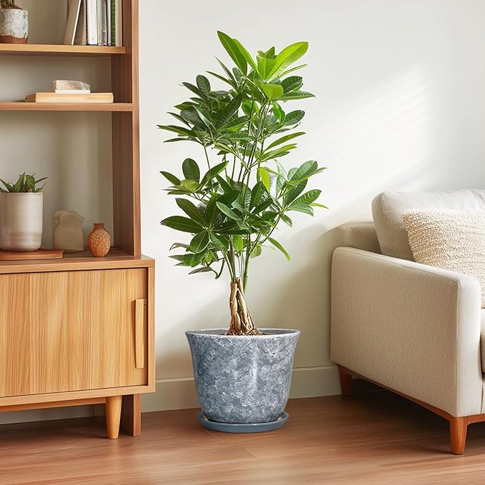 Ceramic Pots for Plants - Image 4
