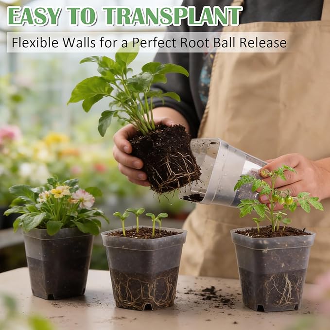 60 Pcs Clear Square Nursery Pots 4 Inch, Reusable Seedling Pots - Image 4