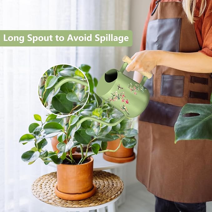 Watering Can Indoor Plants, 35oz Small Stainless Steel Metal Watering Can - Image 2
