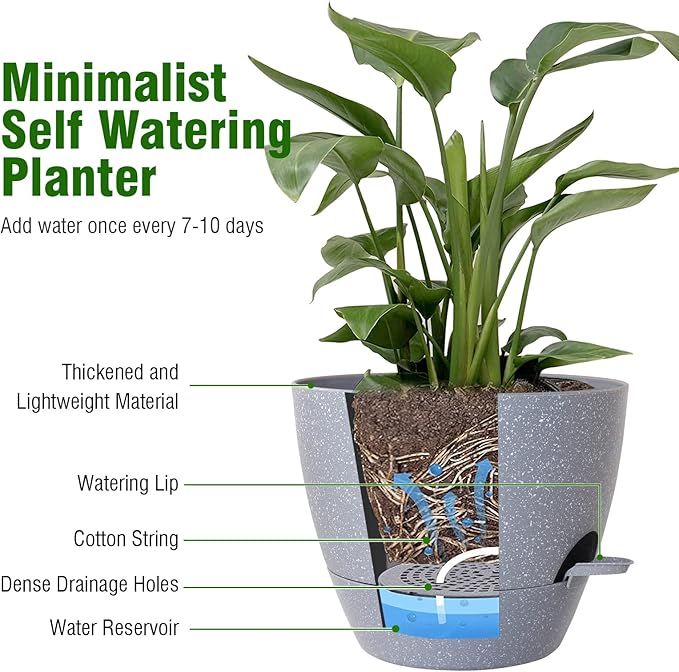 Big Self Watering Pots 12/10/9 inch, Plant Pots - Image 5