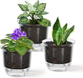 Self Watering Pots, 3 Pack 4 Inch Clear Plant Pot Self Watering Planter Flowers by IWNTWY